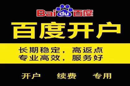 竞价托管服务对比：不同平台的优劣分析